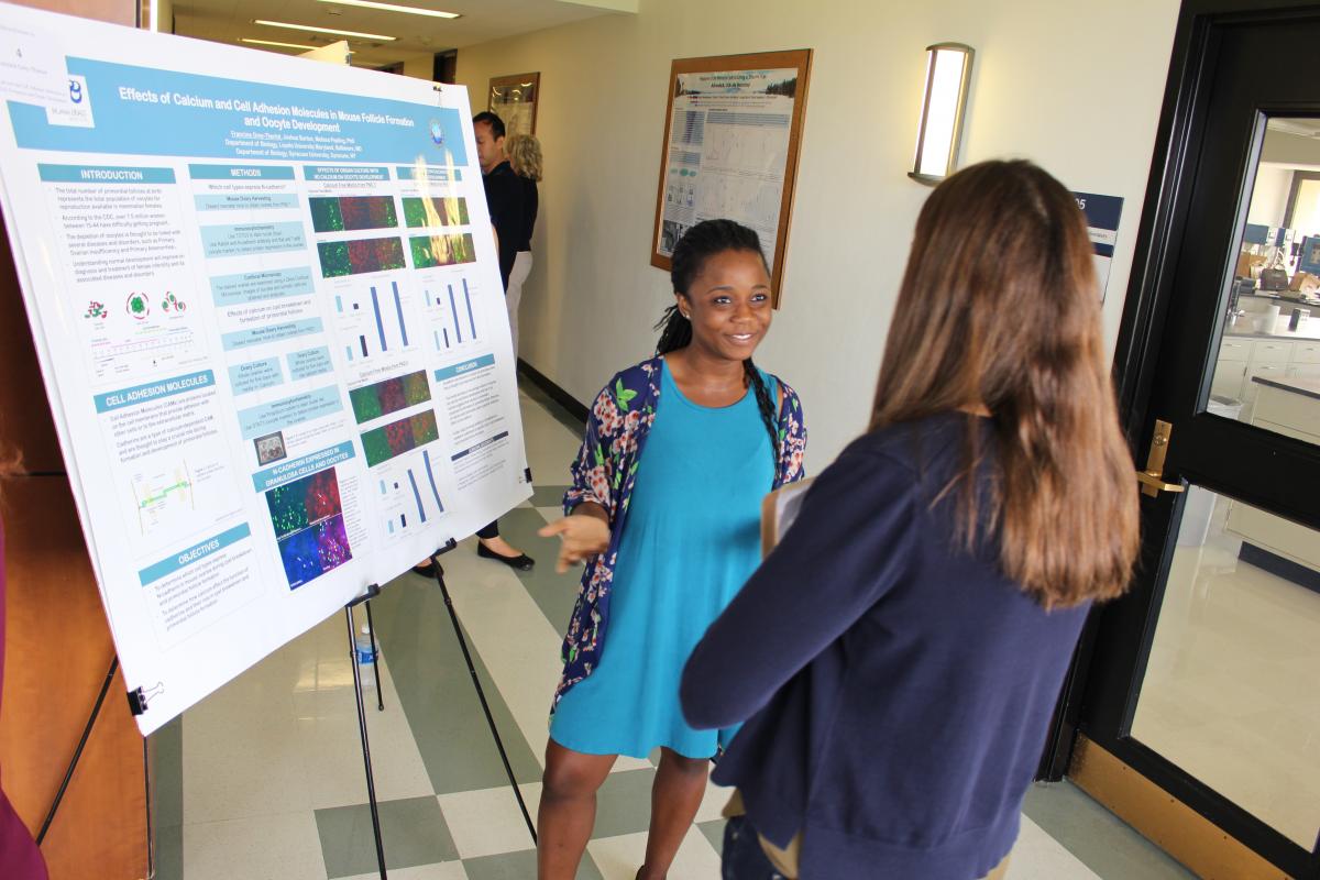 ECS Summer 2017 REU